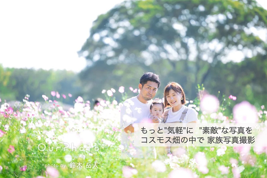 コスモス畑の中で家族写真撮影