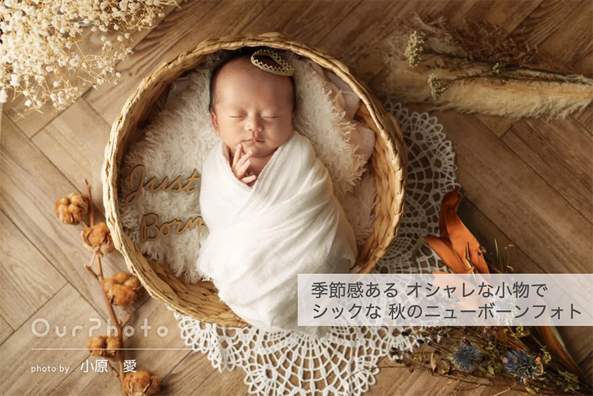 シックな秋のニューボーンフォト
