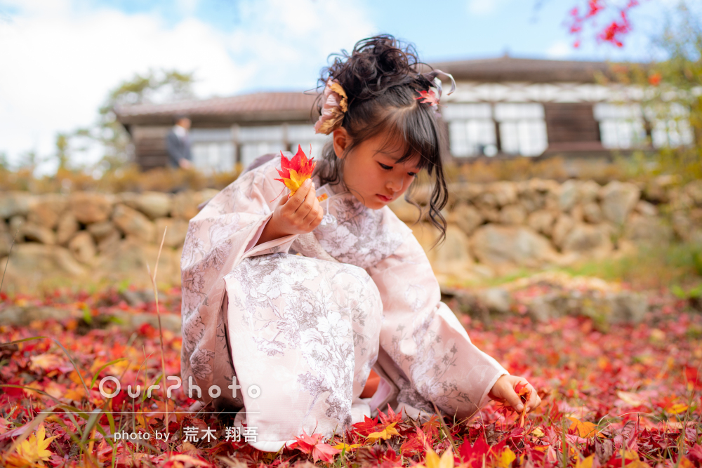 七五三 7歳女の子着物 桜 紅葉 【公式通販】