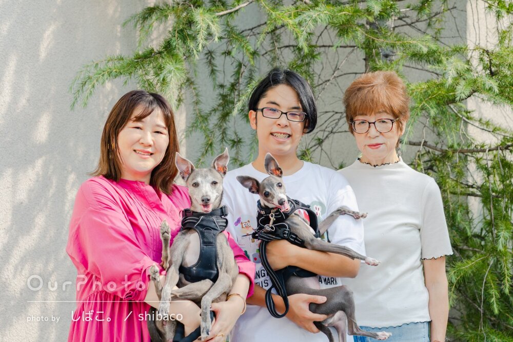 「素敵なお写真」愛情いっぱい！凛々しくも可愛らしいペットフォトの撮影