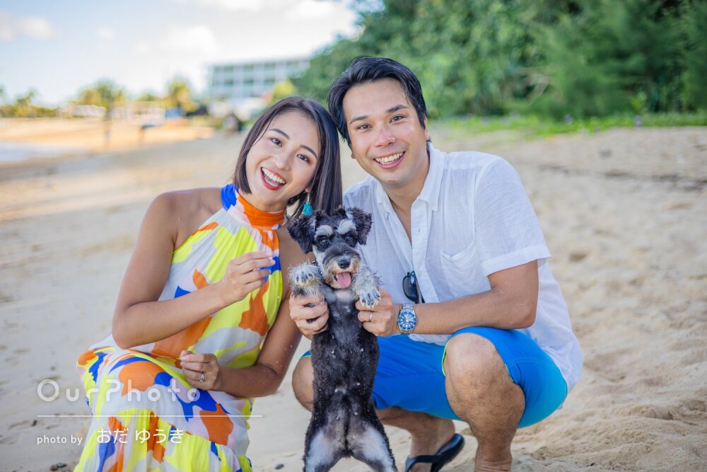 「愛犬を連れた旅行の思い出に」青い海をバックにペットフォトの撮影