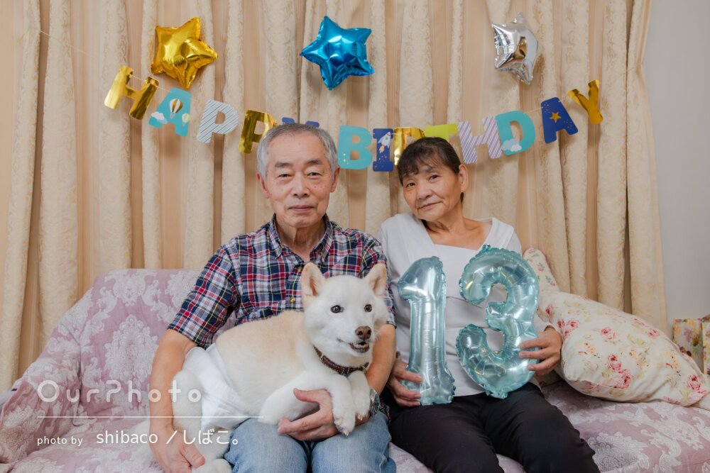 「とても真摯で信頼できる」自宅で愛犬と一緒に！ペット写真の撮影
