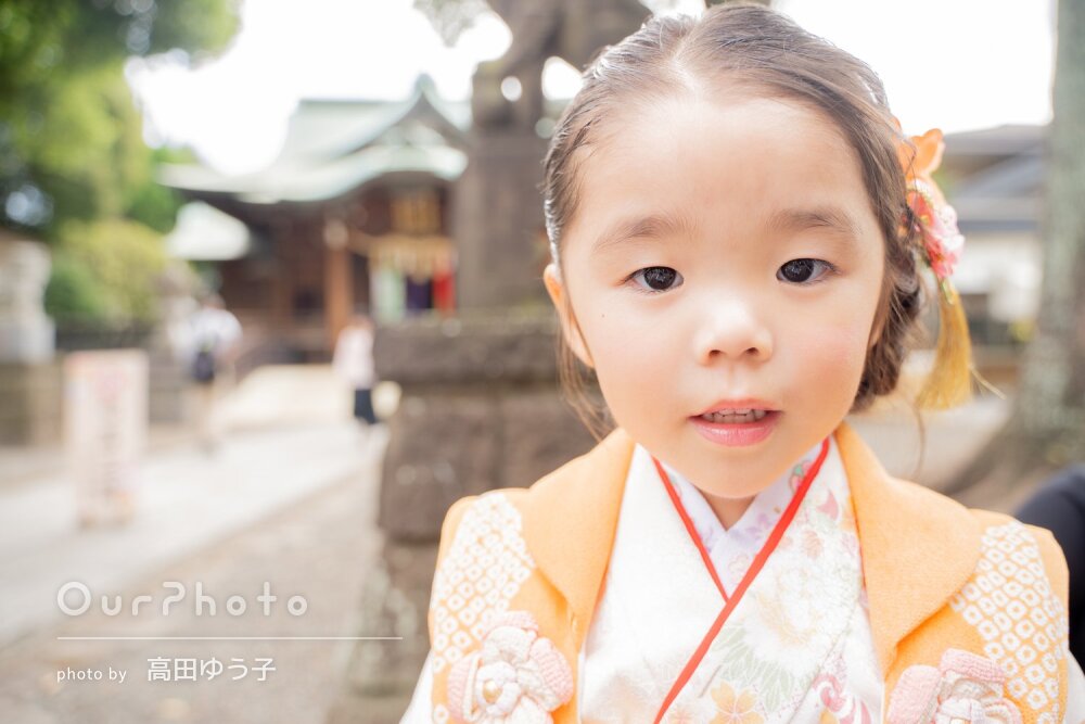「ありのままの自然な表情」神社で晴れ着姿が愛らしい女の子の七五三撮影