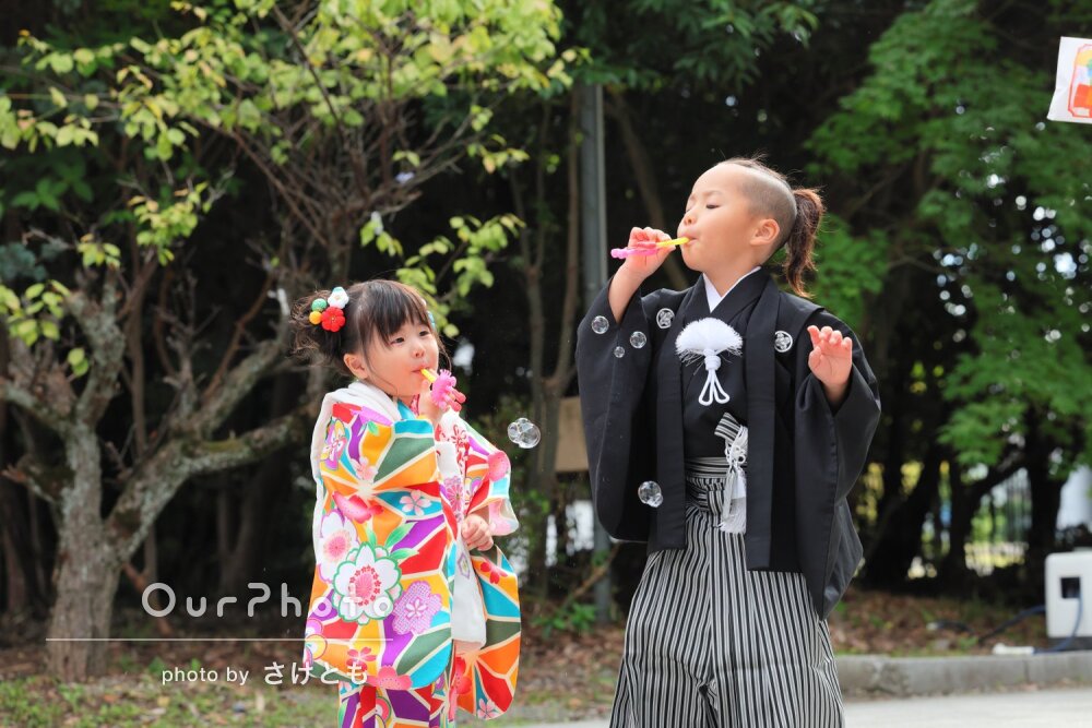 「とても楽しい時間」緑豊かな神社で華やかな和装の兄妹の七五三の撮影