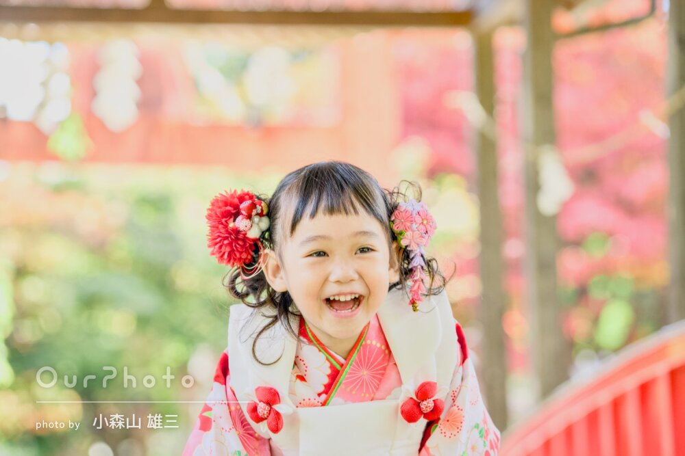 「自然体な写真をたくさん」美しく色づく紅葉を背に女の子の七五三の撮影
