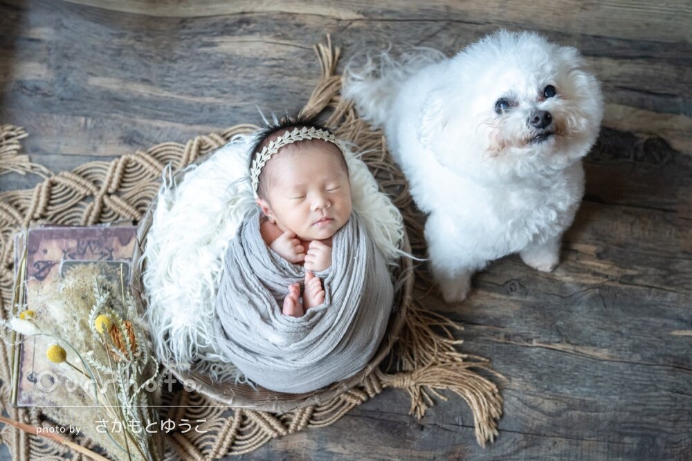 「撮りたい写真を想像以上に沢山」ワンちゃんとニューボーンフォトの撮影