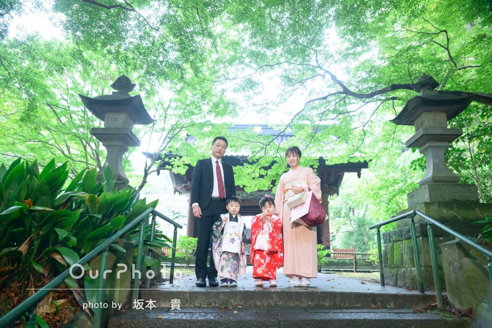 緑に包まれた光がキレイ！雨を感じさせない3歳男女双子の七五三の撮影