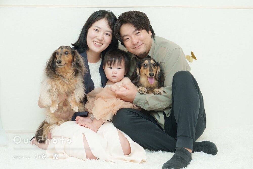 「素敵な写真たち」大満足！愛犬たちも一緒に1歳女の子の誕生日記念撮影