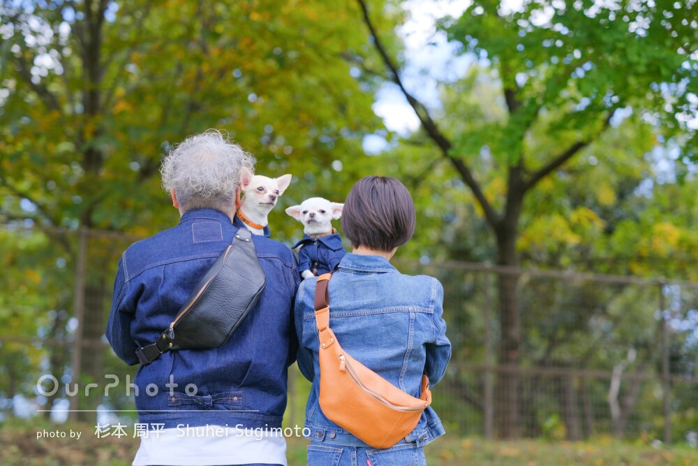 「大変満足しています」ご夫婦の結婚記念日に愛犬とペット写真の撮影