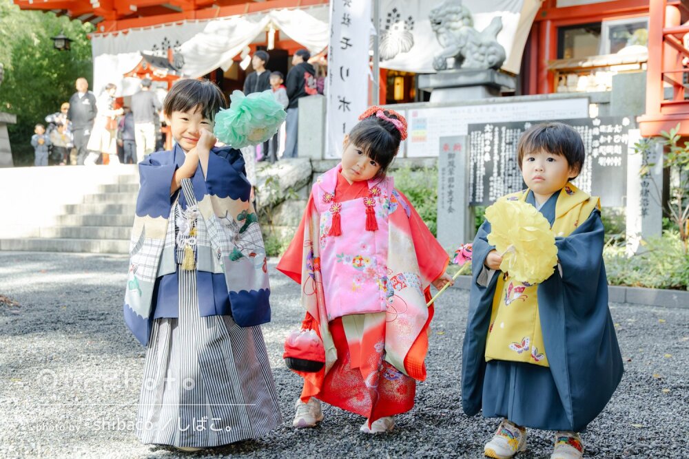 「子供が上手く撮影できるアドバイス」5歳3歳2歳兄妹の七五三の撮影