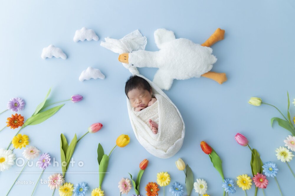 「上手に寝かしつけてくださり」ポップな色合いでニューボーンフォト撮影