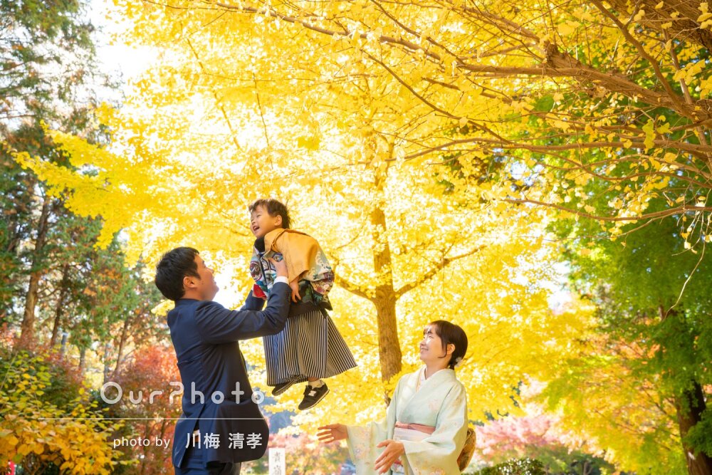 「とても素敵で綺麗でした」輝く銀杏を背景に可愛い男の子の七五三撮影