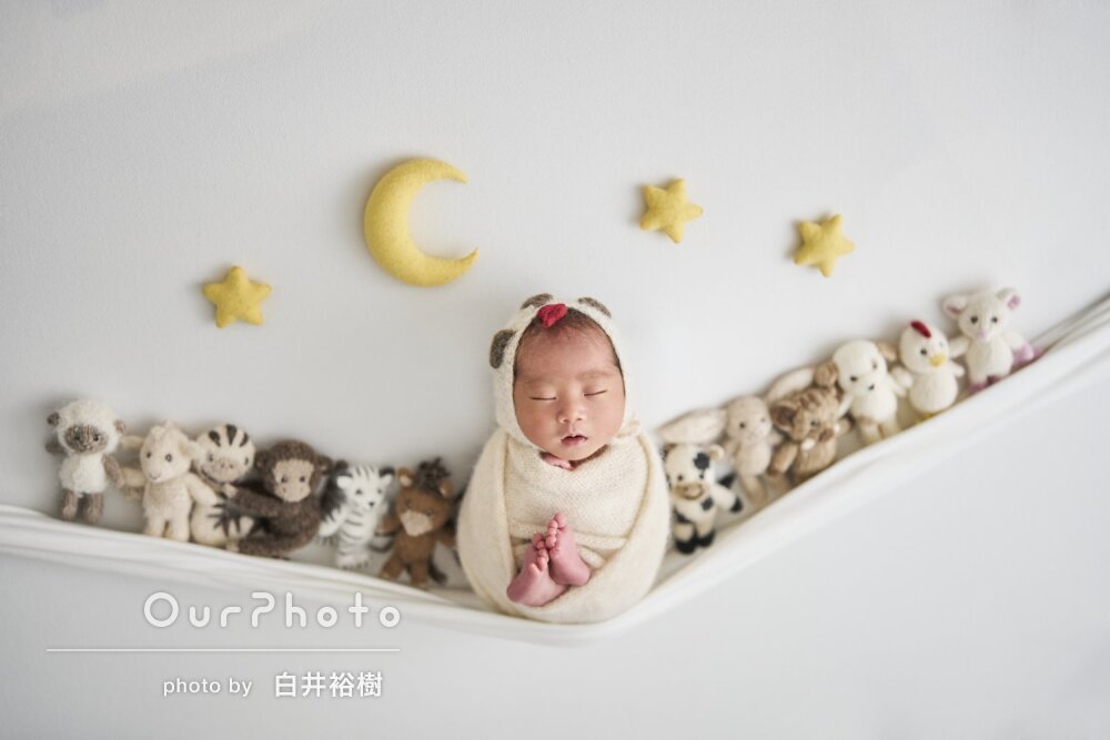 「仕上がりも大満足」並んだ干支が可愛いニューボーンフォトの撮影