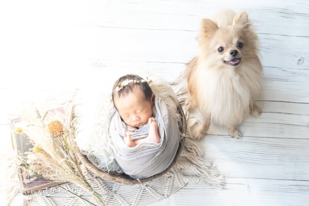 「とっても可愛くて」愛犬と一緒に！初めてのニューボーンフォトの撮影