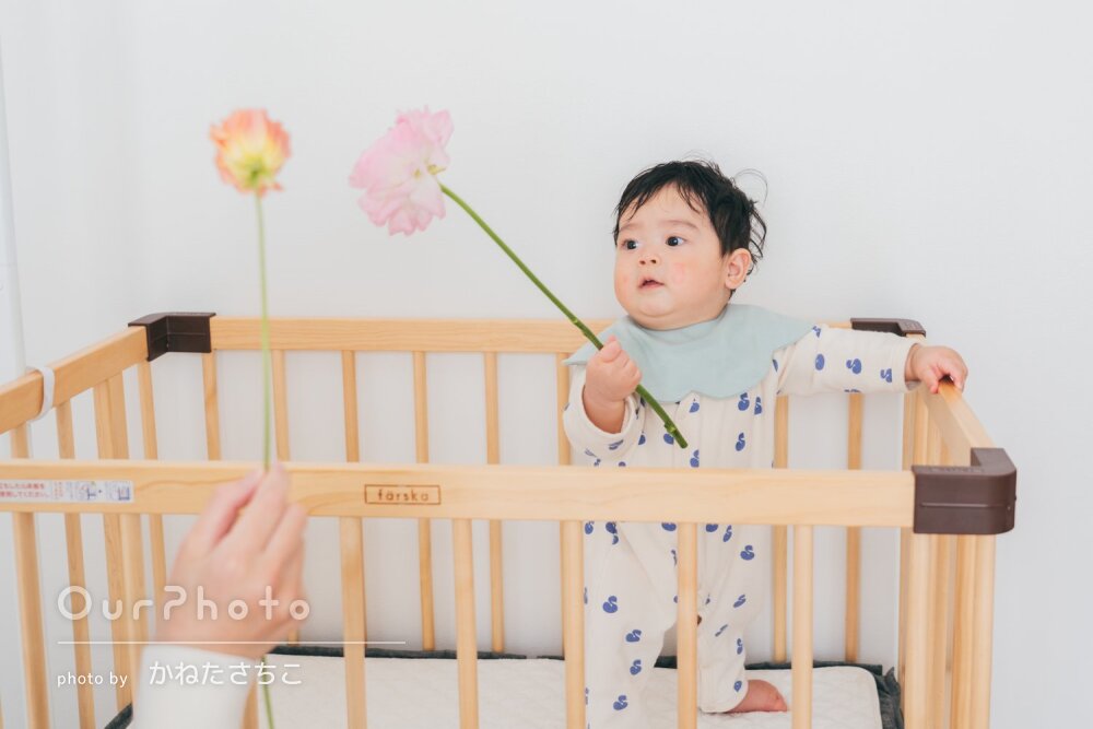 「忘れられない記念に」さまざまな瞬間を捉えたハーフバースデイの撮影