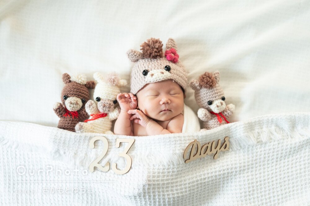「様々な種類の写真を」午年生まれの赤ちゃんのニューボーンフォトの撮影