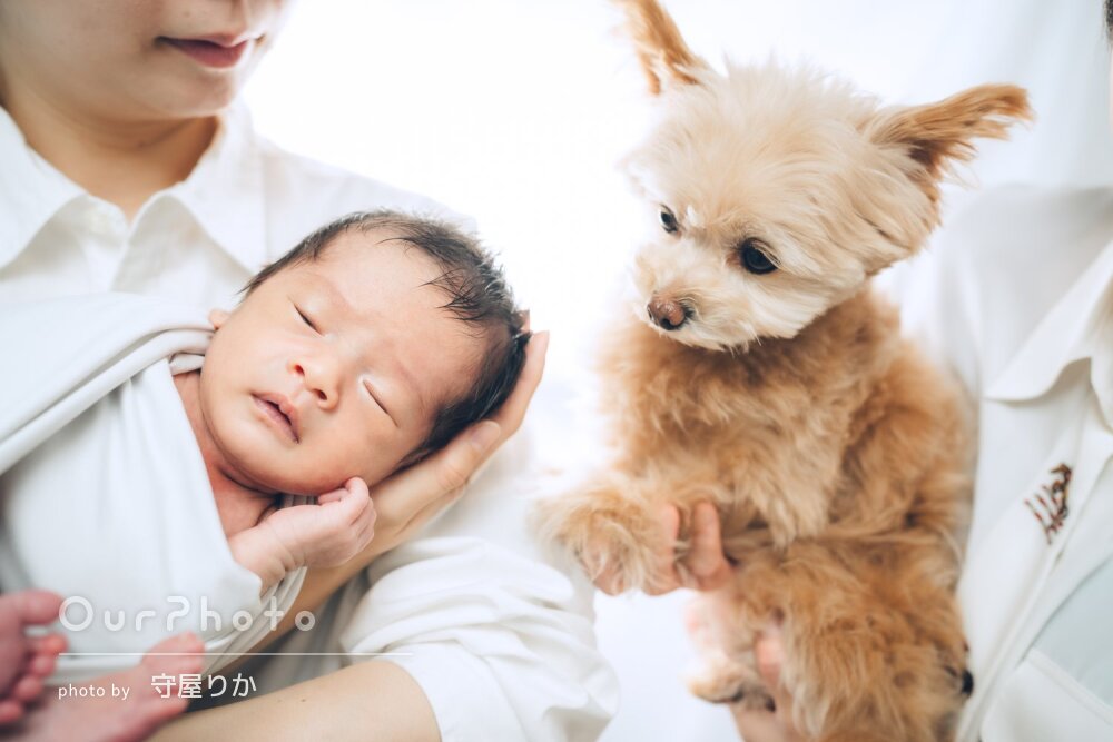 「すごく楽しかったです」ワンちゃんも一緒に！ニューボーンフォトの撮影