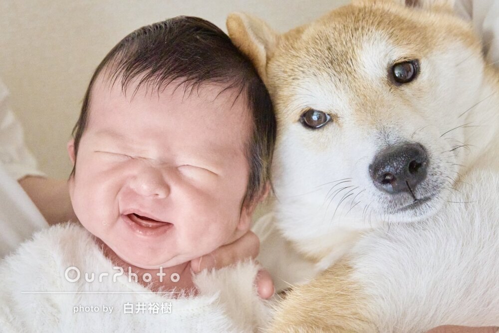 「素敵な写真をたくさん」愛犬と可愛い笑顔！ニューボーンフォトの撮影
