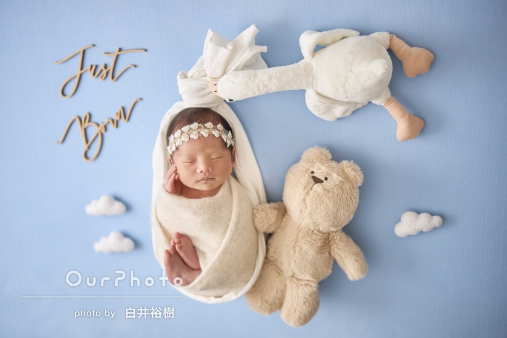 「どの写真もお気に入り」ぬいぐるみと可愛いニューボーンフォトの撮影