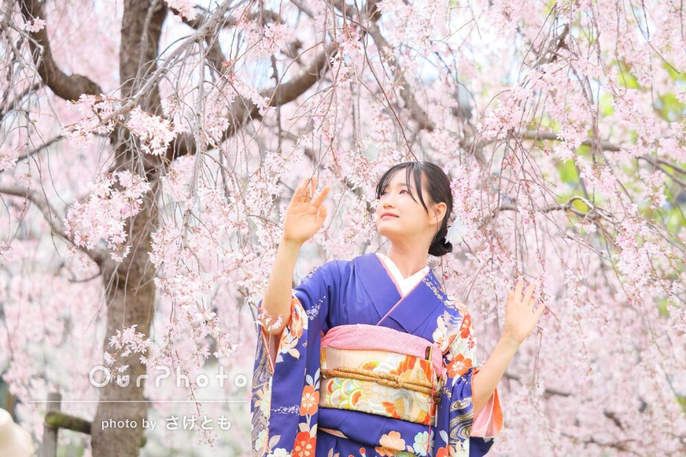 「大満足で笑顔」満開の桜の下で美しい振り袖姿が輝く成人式の前撮り撮影