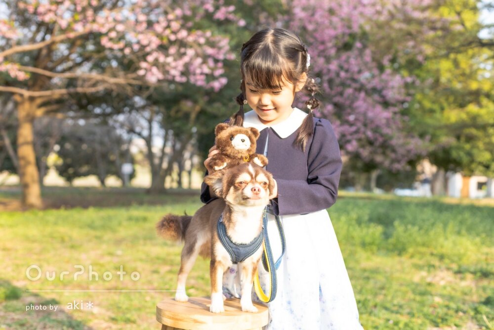 「娘の自然な笑顔がいっぱい」愛犬と一緒に卒園入学記念写真の撮影