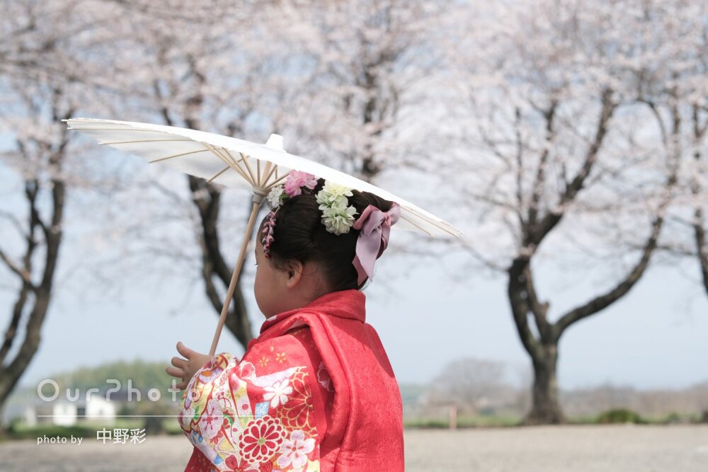 「希望の桜との撮影も」優しく春らしい温かな空気感伝わる七五三の撮影