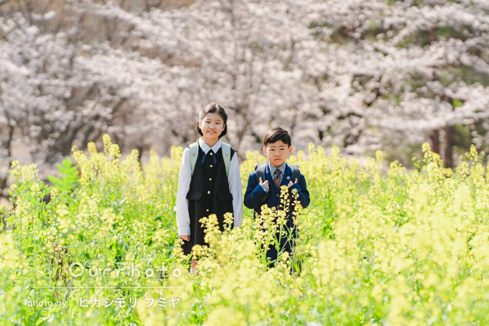 「大満足」姉弟のランドセル姿を思い出に！桜と菜の花と入学記念写真撮影