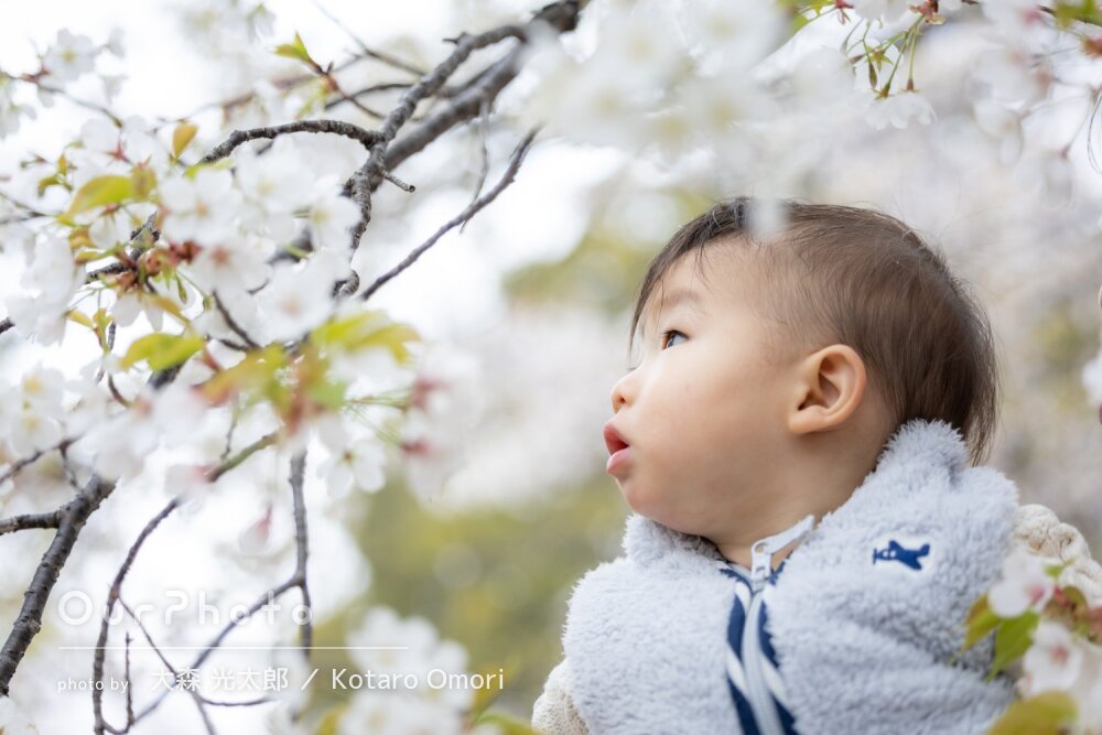 「自然なかわいい表情がたくさん」桜咲く公園で1歳誕生日記念の撮影