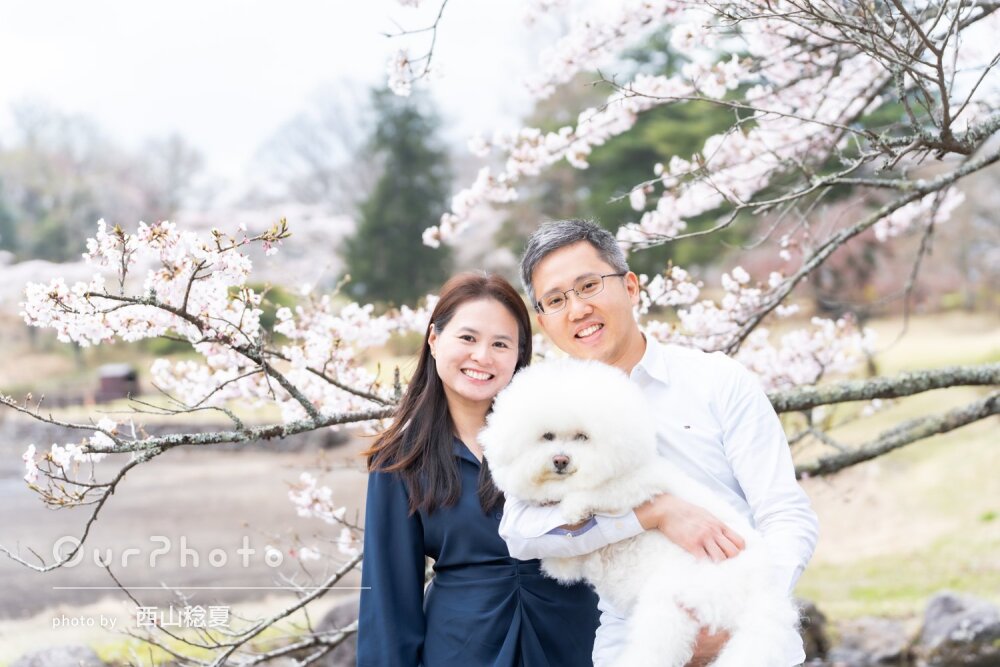 「最高の体験でした」愛犬と一緒に日本の旅を満喫！桜を背景に記念撮影