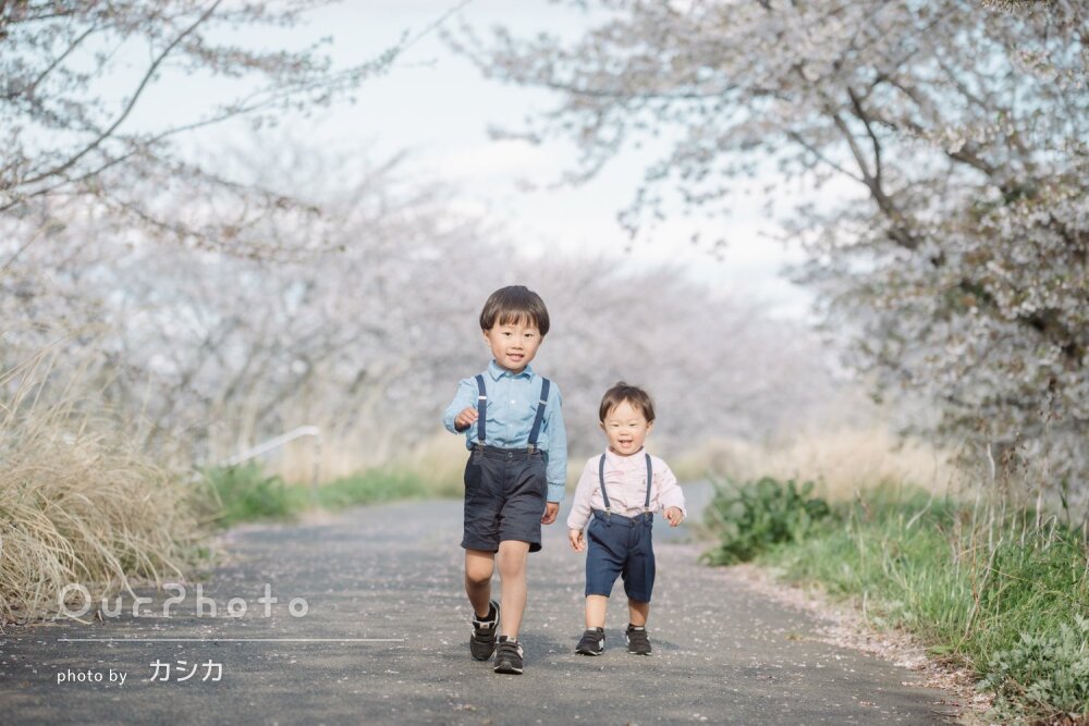 「どれも素敵なものばかり」ステップアップの春！桜並木で家族写真の撮影