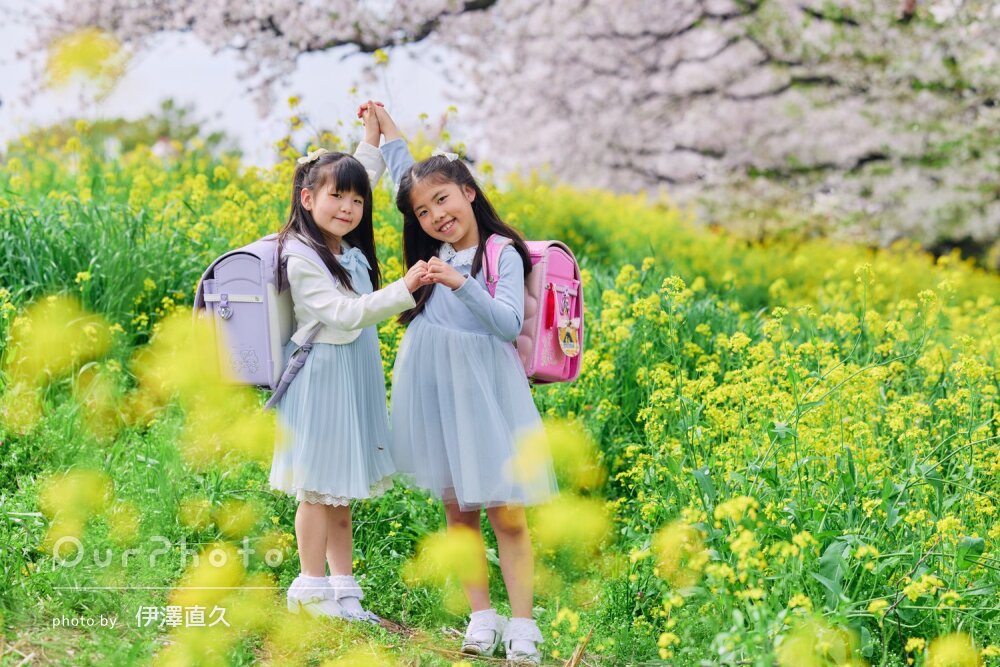「素敵な構図」桜と菜の花と一緒にランドセル姿で入学記念写真の撮影