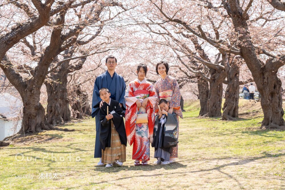 「良い思い出に」家族全員和服姿で素敵！桜を背に和やかな七五三の撮影