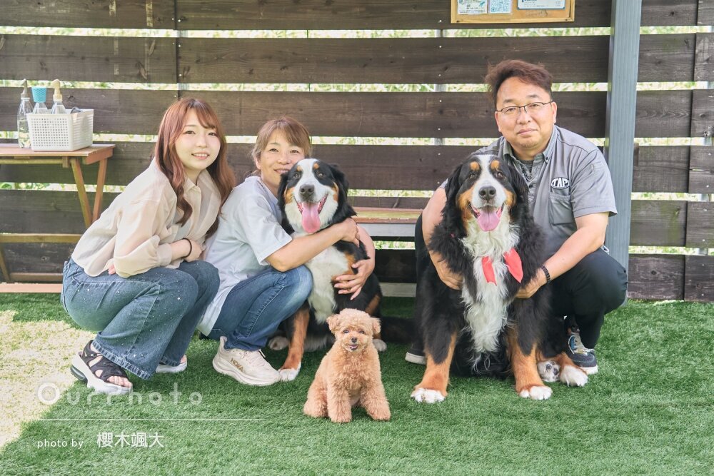 「みんなの新たな顔」3匹の愛犬と楽しく笑顔いっぱいなペット写真の撮影