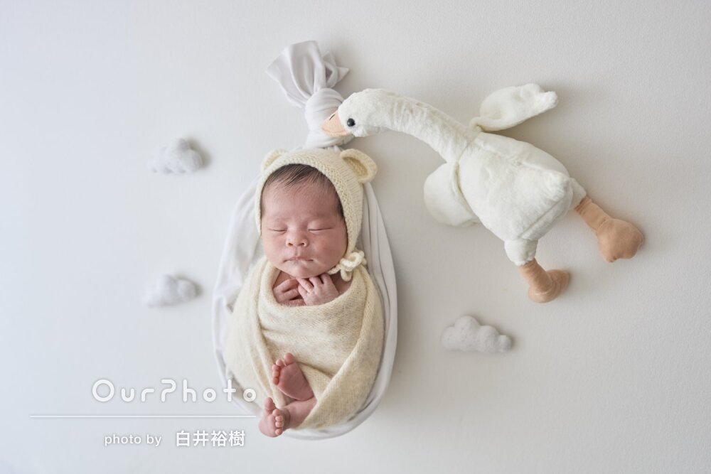 「写真もどれも素敵」ネコちゃんも一緒に可愛いニューボーンフォトの撮影