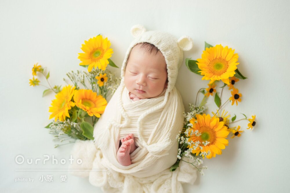 「たくさんのかわいい写真」鮮やかな夏色のニューボーンフォトの撮影