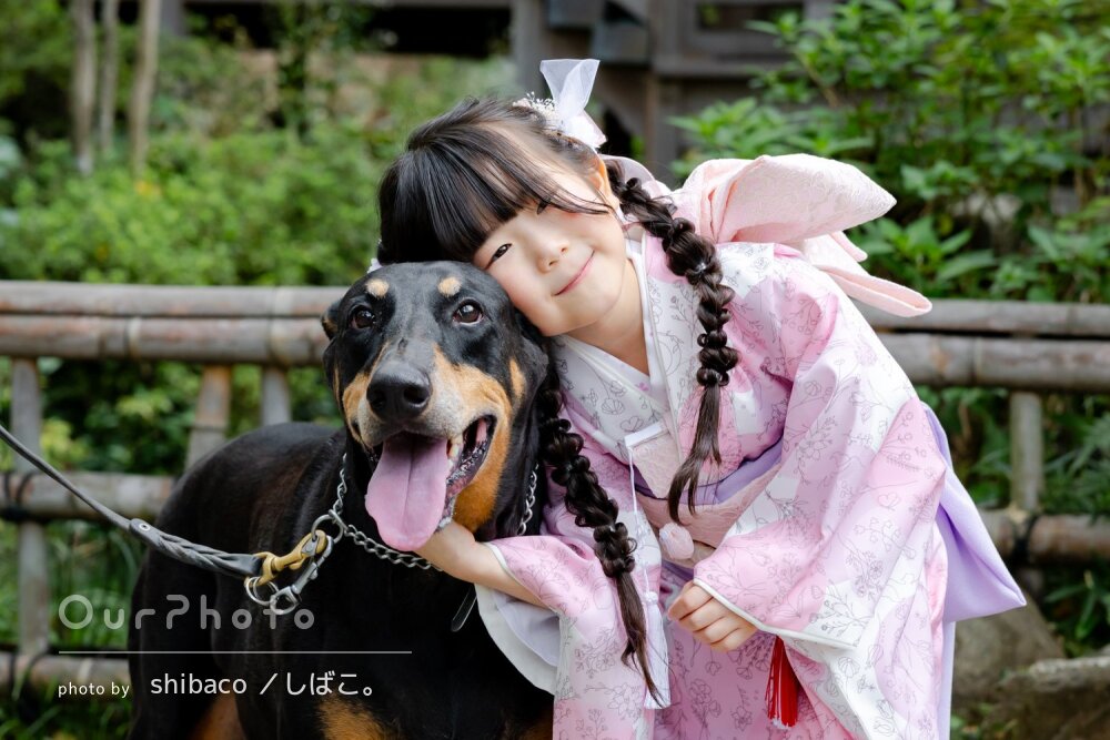 「わんこも娘も緊張することなく」着物姿で愛犬と！素敵な七五三の撮影