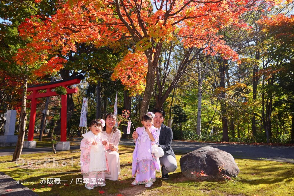 真っ赤な紅葉が美しい境内で姉妹並んだ晴れ着姿が華やかな七五三の撮影