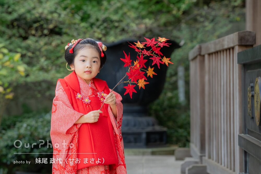 「楽しくマイペースに」神社の緑に映える赤い和装！女の子の七五三の撮影