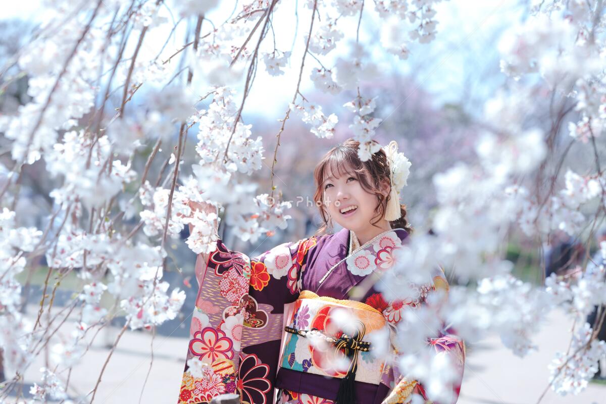 洋書◆アート写真集 Vol.17 本 カメラ フォトグラファー MdNフォトグラファーズファイル2014｜株式会社エムディエヌ