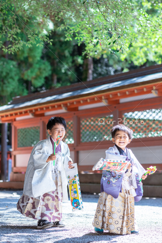 七五三前撮り☆出張撮影 七五三の出張撮影@篠崎浅間神社／東京都／江戸川区 | フォト